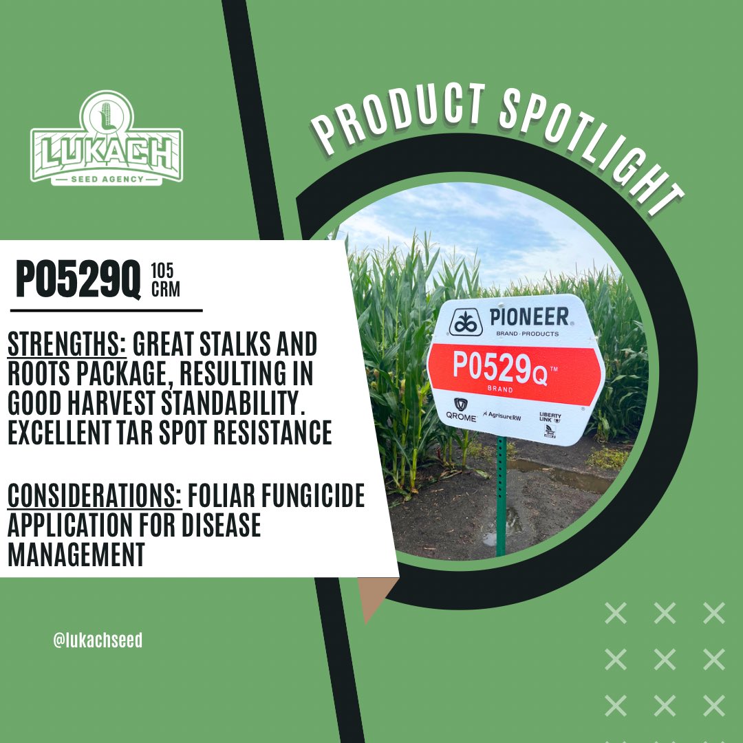 P0529Q is a new <a href="/PioneerSeeds/">Pioneer Seeds U.S.</a> corn hybrid that’s a real standout 🤩 a great fit for COC acres + a solid agronomic package.