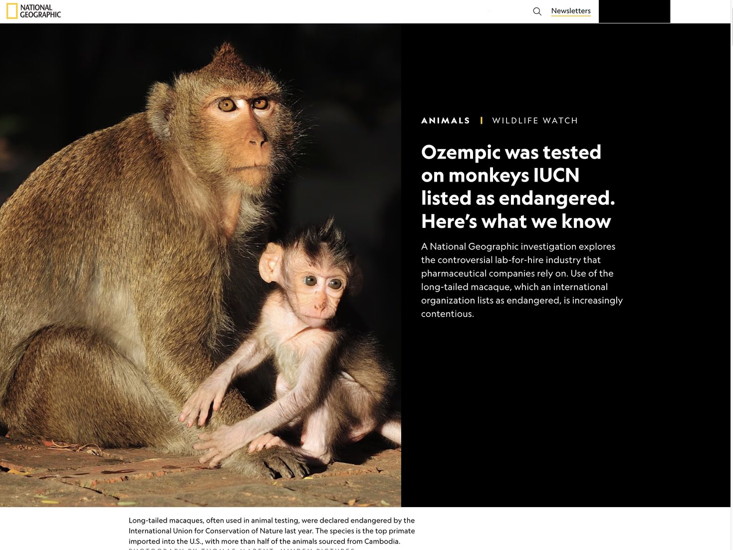 Ozempic was tested on monkeys IUCN listed as endangered. Here's
