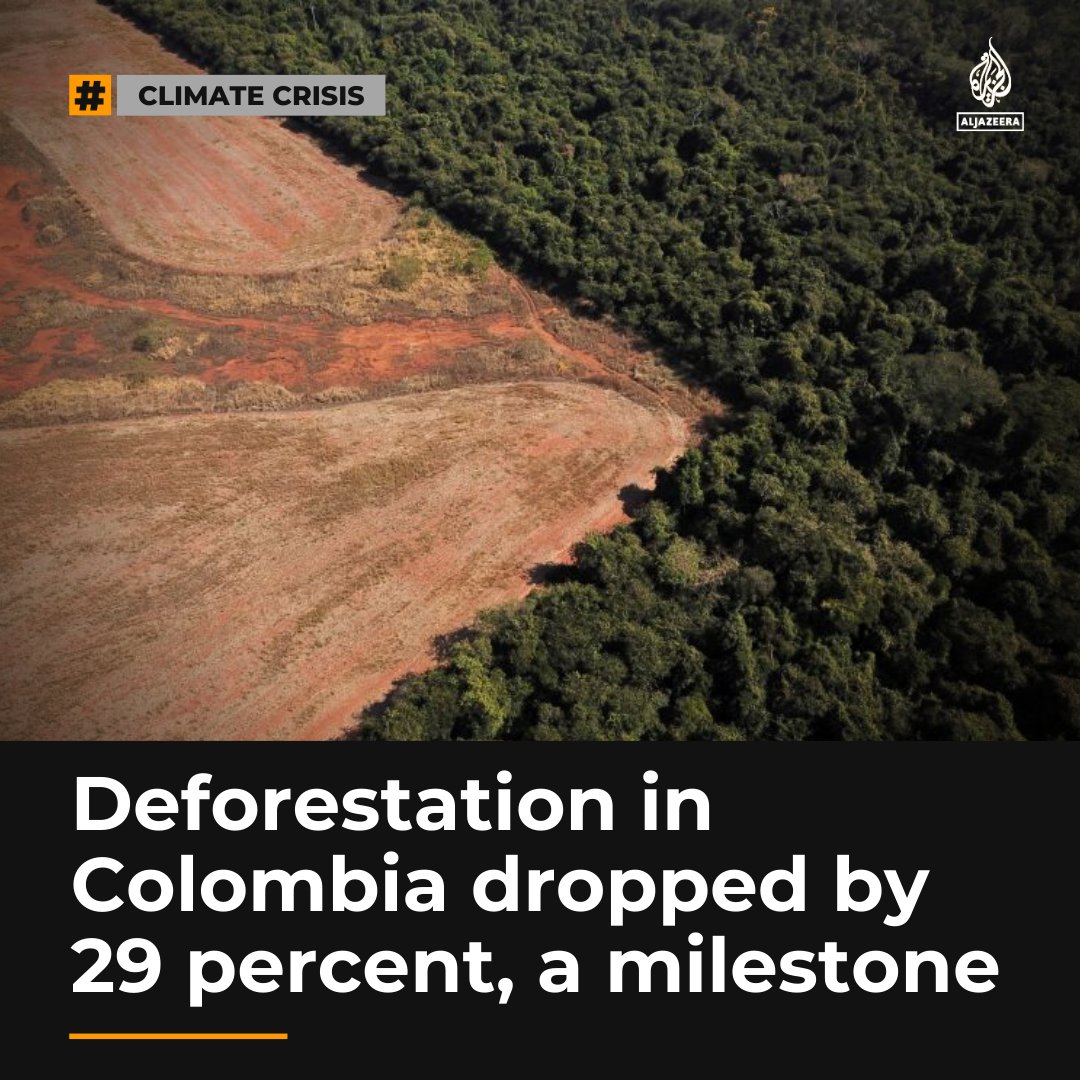 AJEnglish's tweet image. Deforestation in Colombia dropped by 29% in 2022, falling to the lowest level in nearly 10 years aje.io/clfpc8