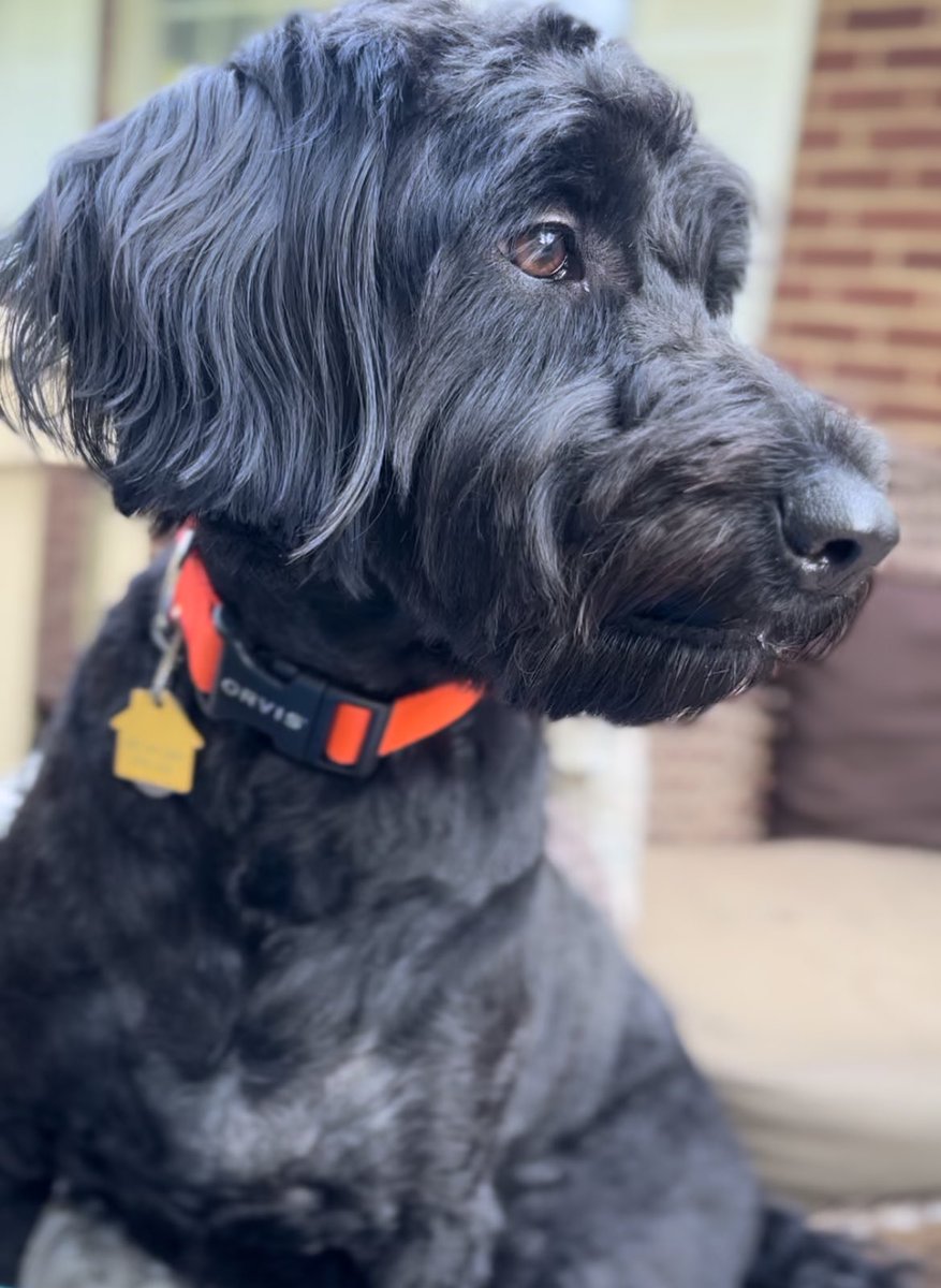 Michelle Fiscus MD,FAAP 🌻💉❤️🌈 tweet media