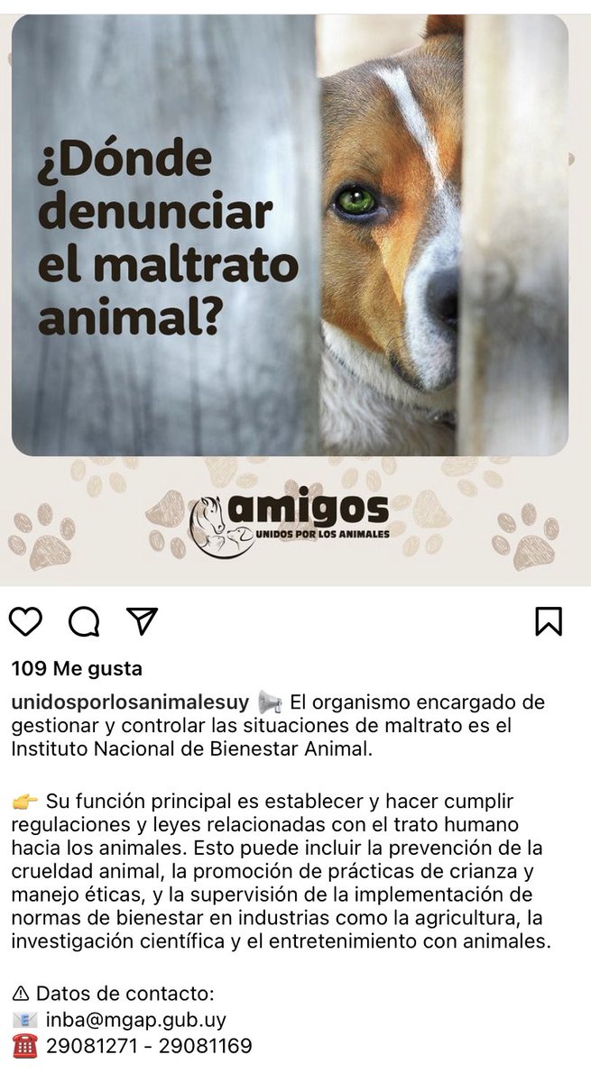 🇺🇾🌼🇮🇹 tweet media