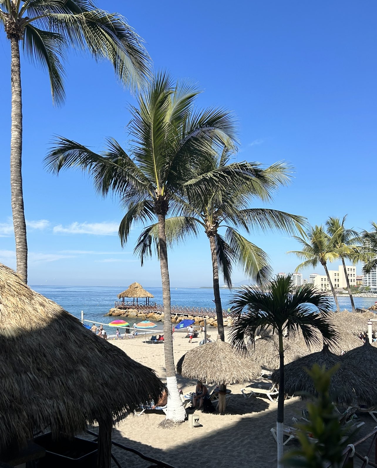 Ujena swimwear deals