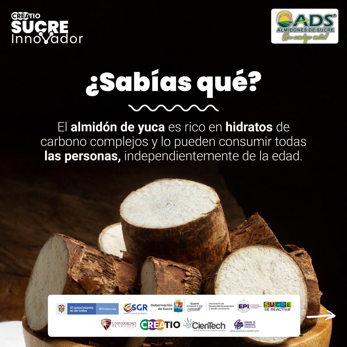 CreatioUnicosta's tweet photo. ¡El almidón de azúcar está transformando la vida en el campo! 🍃

La empresa Almidones de Sucre ha hecho posible que 1.500 campesinos planten y cosechen más de 10.000 toneladas de yuca.

¡Consumamos alimentos saludables y que aporten a la creación de oportunidades para todos! https://t.co/MrTGJr5TcV