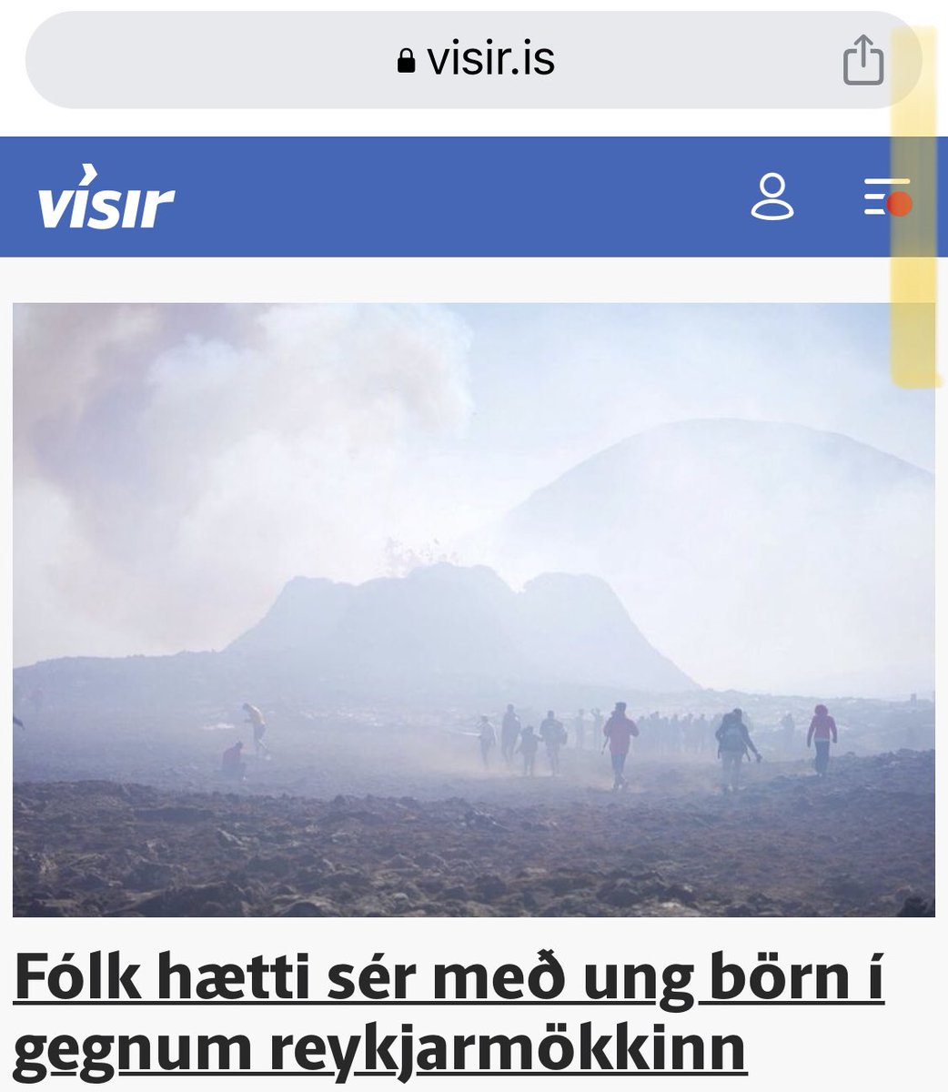 Svanhvít Lilja tweet media