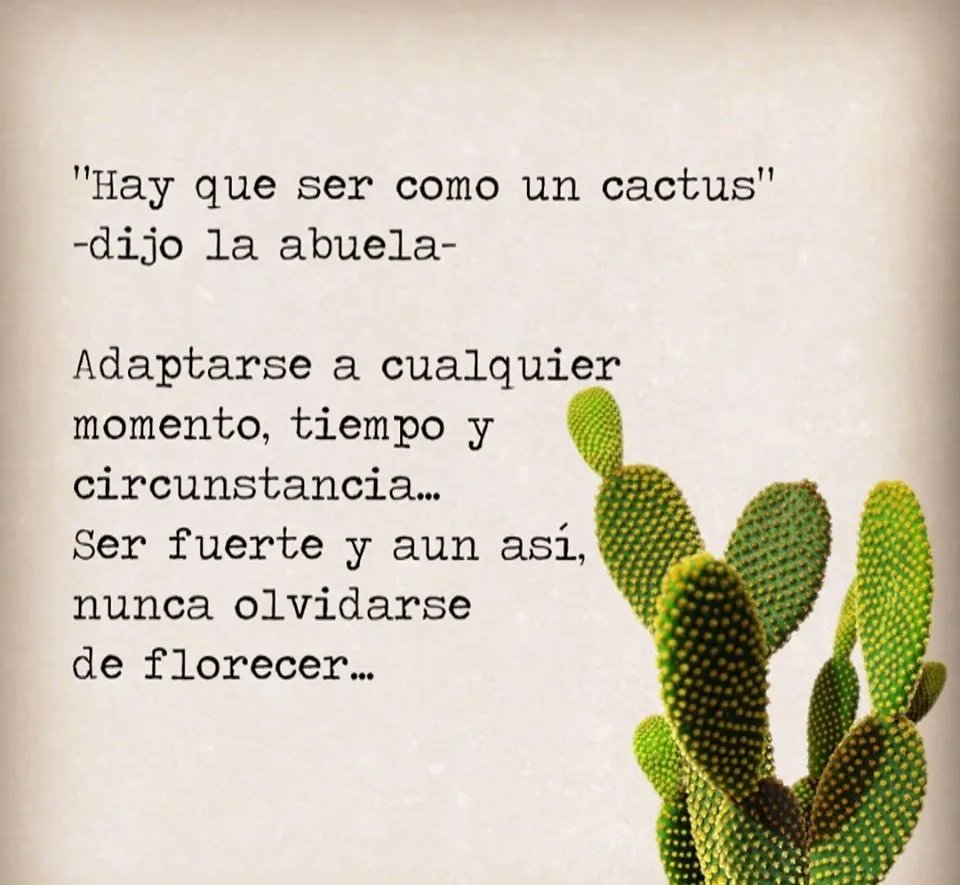 Paulo Coelho Español (@paulocoelhodice) on Twitter photo 