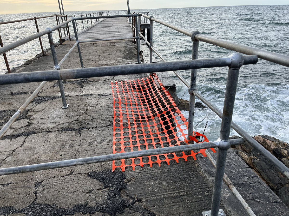 Caroline Horn tweet media