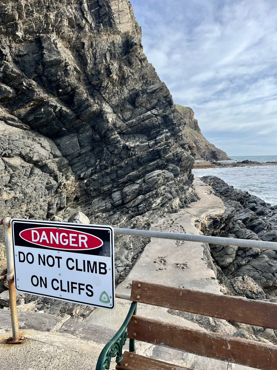 Caroline Horn tweet media