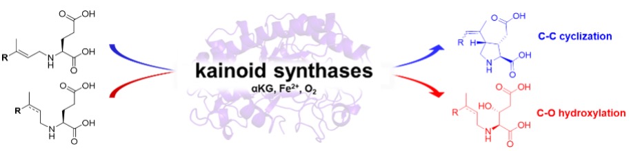 Shaun McKinnie tweet media