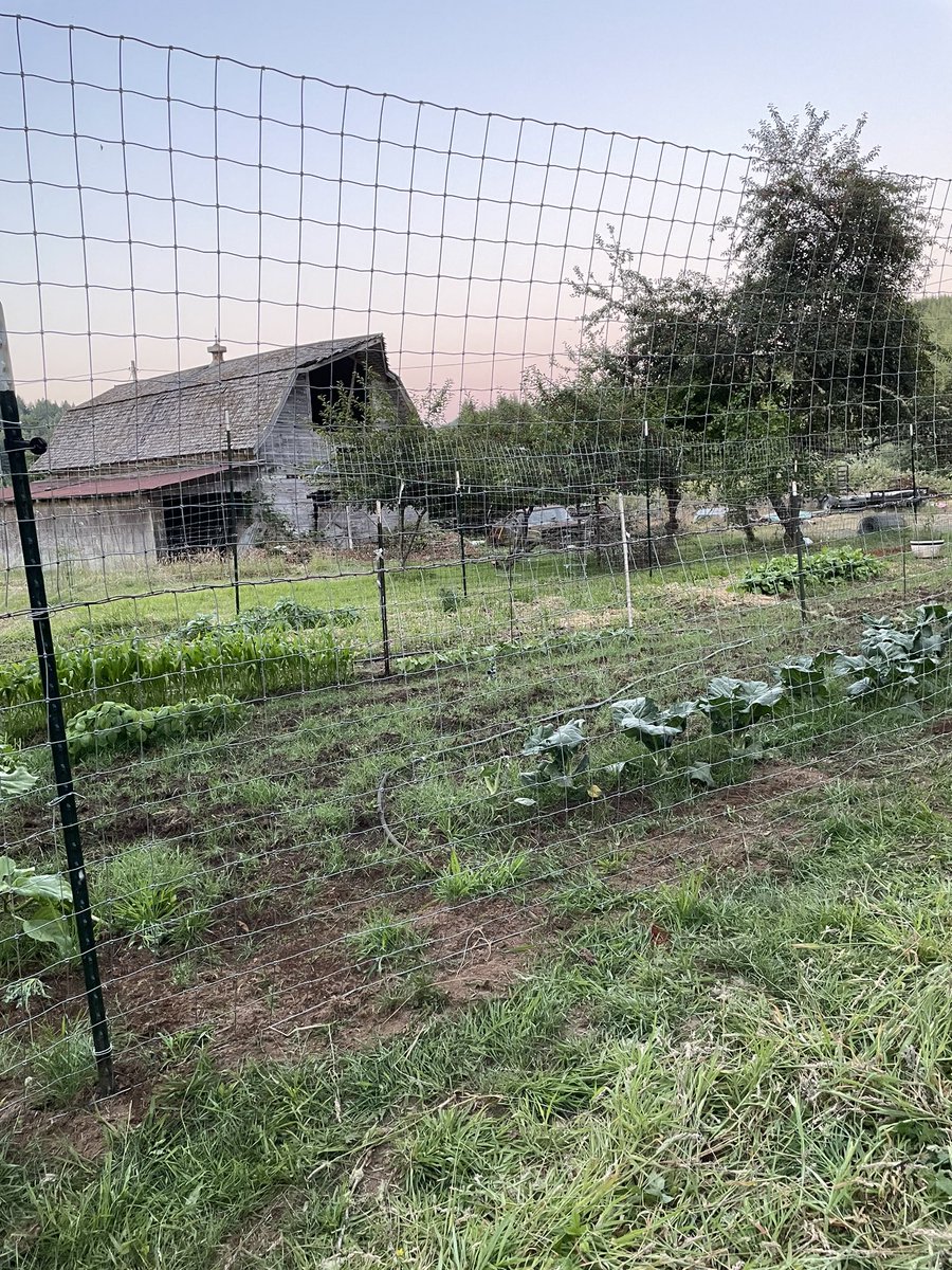reneealeja's tweet photo. Had to deal with a farm fence emergency (iykyk), but now I’m back to needing to fix my phone so it’ll take videos. So glad the bulk of the fence is done. https://t.co/FoEXyvu1gx