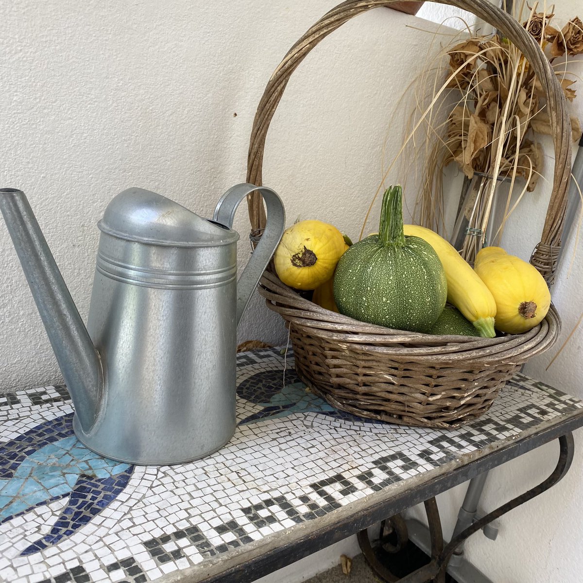 G27Marco's tweet image. Et voici les premières #courgettes !!!! #jardin #maison #cuisine