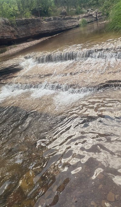 Enjoying nature + coffee lately ☕️ https://t.co/NpTsXirOL0