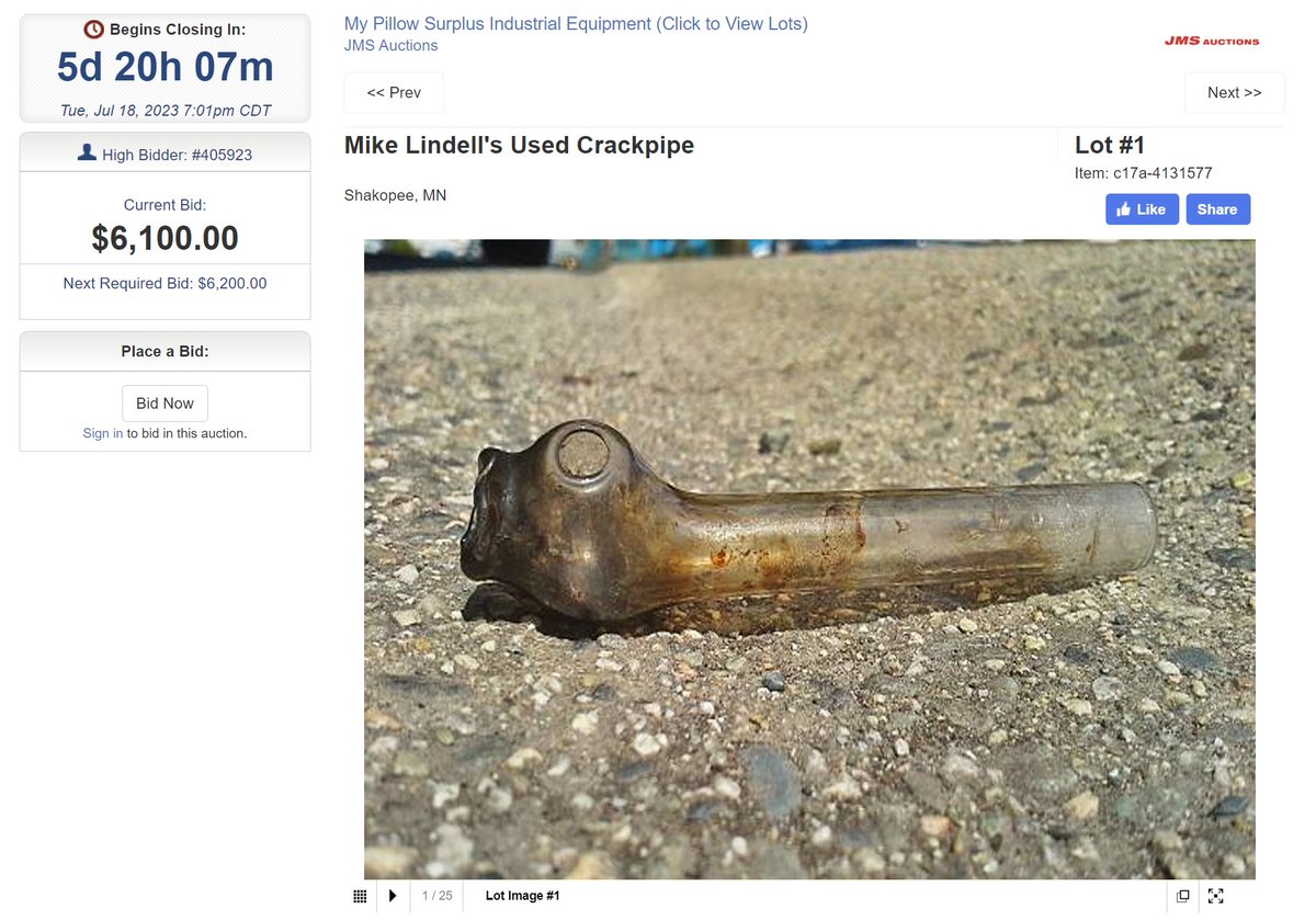 We're currently participating in an intense bidding war over an item that Mike Lindell was forced to auction off 😂