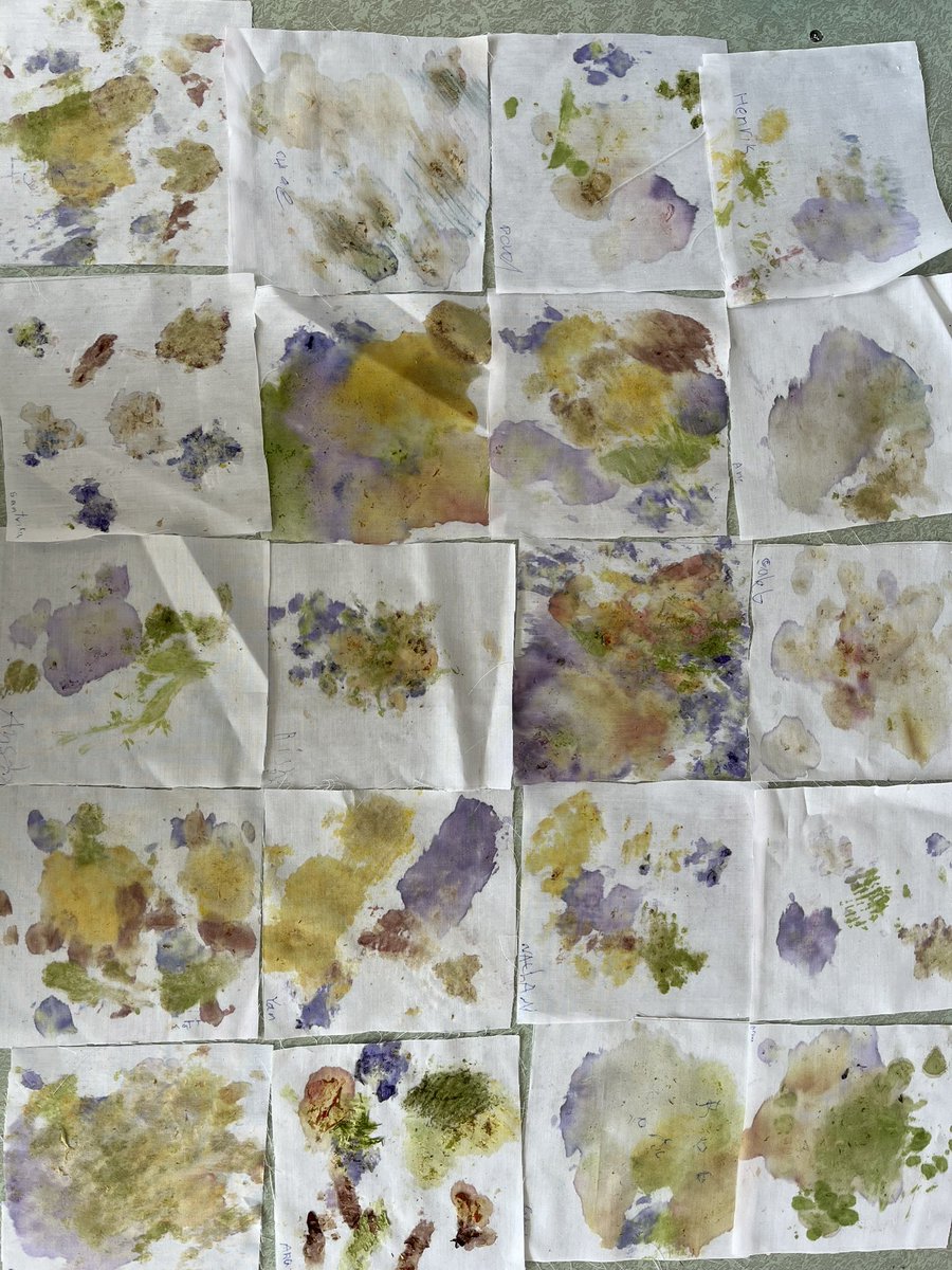 mmedare (@mmedare) on Twitter photo Art and nature literally colliding. Nature Explorers learning to extract pigments from flowers and leaves. <a href="/SD41marlborough/">École Marlborough Elementary</a> #burnabysummersession #togetherisbetter #hapazome Art and nature literally colliding. Nature Explorers learning to extract pigments from flowers and leaves. <a href="/SD41marlborough/">École Marlborough Elementary</a> #burnabysummersession #togetherisbetter #hapazome