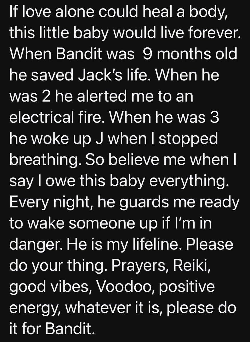 Kiki_Loves_Life's tweet photo. My baby boys.

Whatever your belief, please do your thing. 

Prayers, Reiki, good vibes, Voodoo, positive energy, whatever it is, please do it for Bandit. 

#crabbycockapoo #itisnteasybeingacockapoo #bandit #banditandtherookies #therookies #sickbaby #sweetpuppy #brothers https://t.co/bgz1uSMjDu