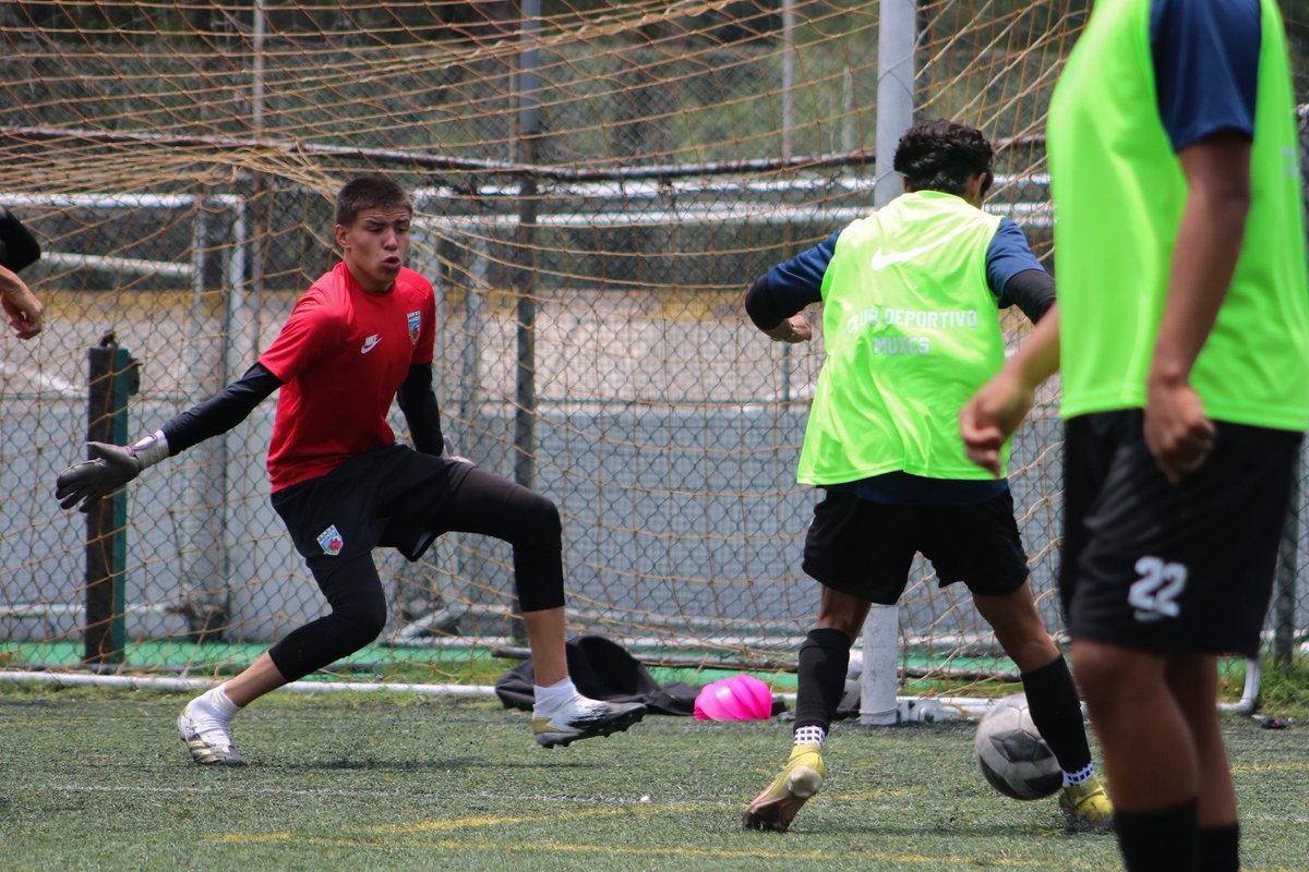 clubmuxes's tweet photo. 🏋🏽 | 𝗣𝗥𝗘𝗧𝗘𝗠𝗣𝗢𝗥𝗔𝗗𝗔 | @LigaTDP 

Nuestra escuadra se prepara para el arranque del torneo en el mes de septiembre💥

Pronto anunciaremos a nuestros refuerzos y las renovaciones del club 🤩

¡Vamos, Muxes! 🌺

#PorUnDeporteSinEtiquetas 🏳️‍🌈🏳️‍⚧️
#PrideNetwork 
#EukanubaMuxes https://t.co/PbIKyy8DXj