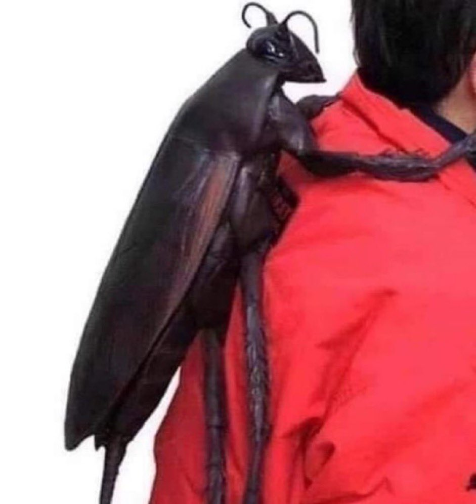 lo que me imagino cuando algo toca mi espalda: