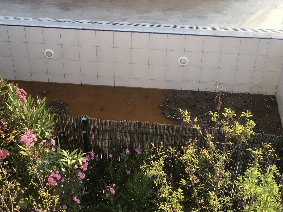 ayazmurvet's tweet photo. Ne camları acabiliyoruz ne bahcede balkonda otura biliyoruz bu sıcakta kokusu sinegi mafolduk komsumuzun havuzu bu katmanlar olustu artik ustunde hala temizletmiyor cesme dalyan 4230 sk no 4 lutfen bir cozum bulun @cesmebld @izmirhim @izmirbld @ekremonan https://t.co/lAtZdI9v9h
