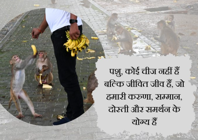 fouji_fan's tweet photo. पशु, कोई चीज नहीं हैं बल्कि जीवित जीव हैं, जो हमारी करुणा, सम्मान, दोस्ती और समर्थन के योग्य हैं #thursdaymorning
#ngotrust #bbcpresenter #PaniPuri #AdityaRoyKapur #delhiflood #ElvishYadav #PVRHeardYou #AnanyaPanday #Chandrayaan3
#DelhiMeerutExpressway https://t.co/NOrYAEYa6R