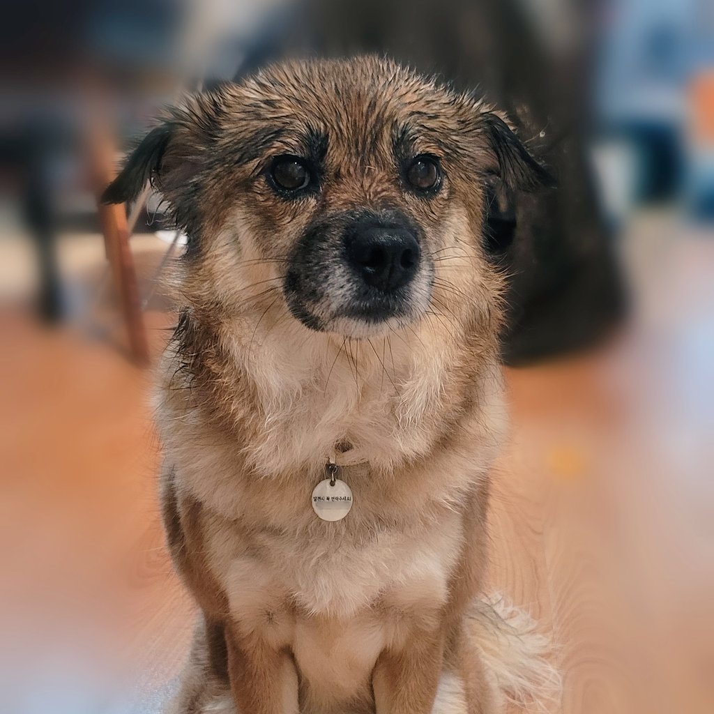 아니 정원아 미안해 근데 나갈 때는 진짜 비가 별로 안 왔었어 너도 봤잖아... #눈치게임대실패