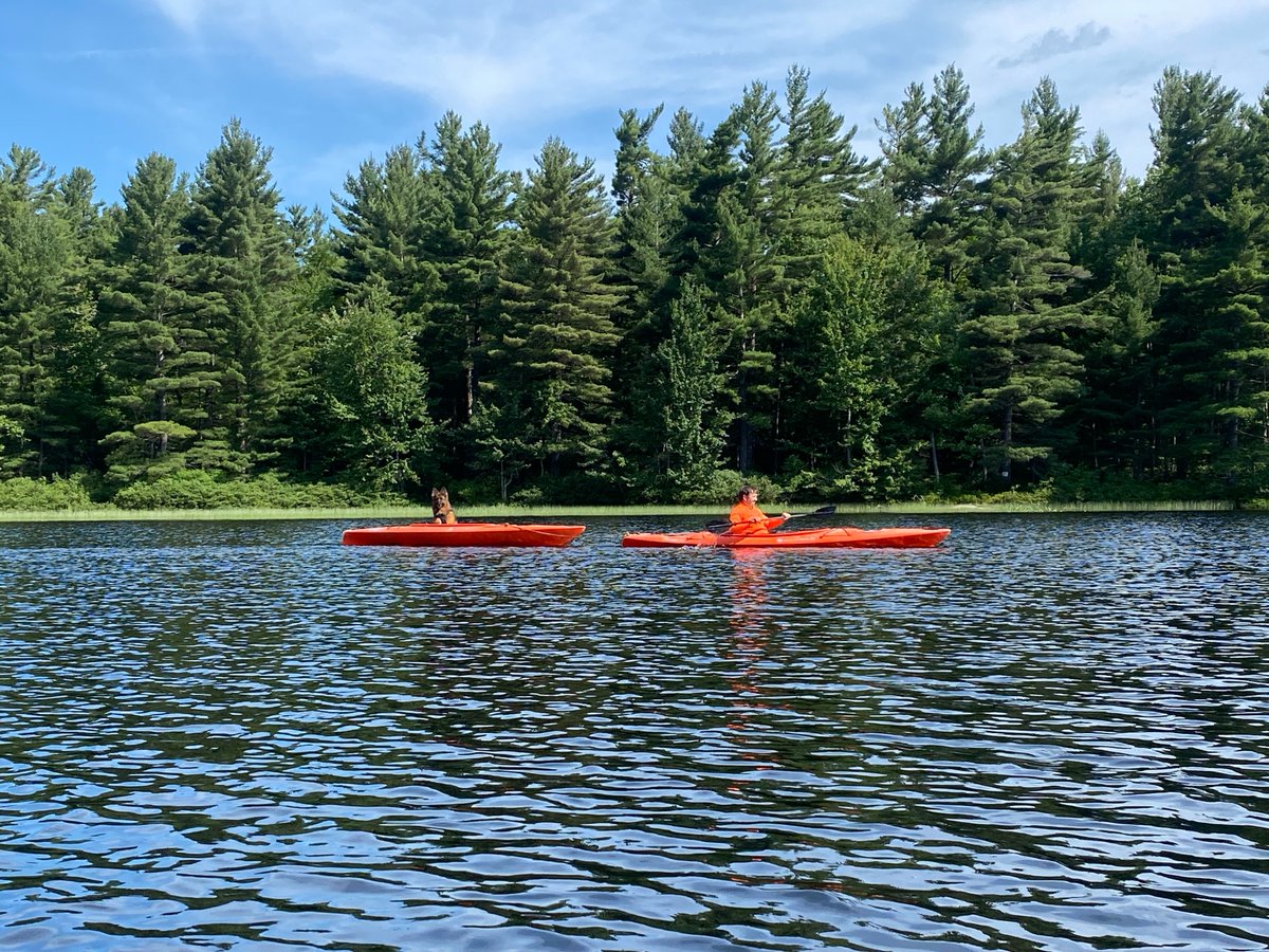 ncpr's tweet photo. Photo of the Day: "Dog Days of Summer! July 8, 2023 Mike Solon gives his best friend Kaja a morning kayak ride around Boyd Pond. Russell, NY." Photo: Teresa Stone, Boyd Pond and Watertown, NY
#ncprpotd https://t.co/23OAMhPCdA
