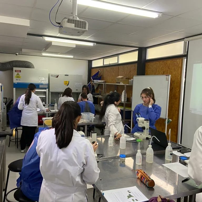 AmbientalUDLA's tweet photo. Primera jornada de laboratorio. Estudiantes de Ingeniería Ambiental de @UDLAEcuador trabajan con estudiantes de @Yale en la identificación de macroinvertebrados acuáticos en los laboratorios de #UDLAPark
@udlaint
#SéGlobalSéUDLAInternacional https://t.co/cLeRevZStq