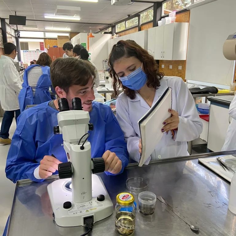 AmbientalUDLA's tweet photo. Primera jornada de laboratorio. Estudiantes de Ingeniería Ambiental de @UDLAEcuador trabajan con estudiantes de @Yale en la identificación de macroinvertebrados acuáticos en los laboratorios de #UDLAPark
@udlaint
#SéGlobalSéUDLAInternacional https://t.co/cLeRevZStq