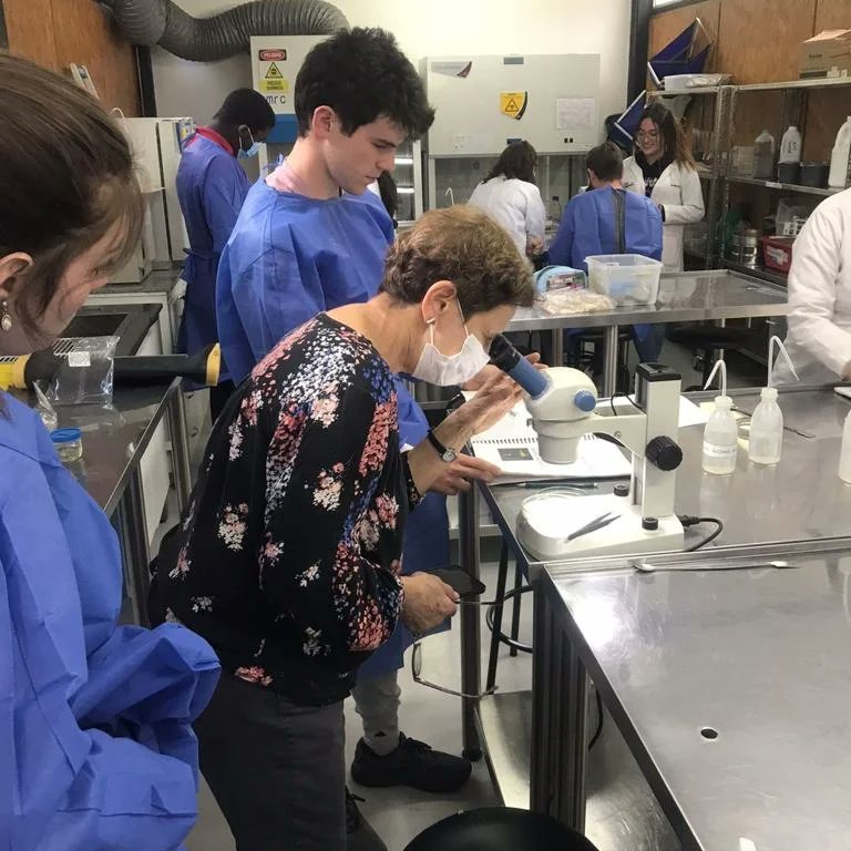 AmbientalUDLA's tweet photo. Primera jornada de laboratorio. Estudiantes de Ingeniería Ambiental de @UDLAEcuador trabajan con estudiantes de @Yale en la identificación de macroinvertebrados acuáticos en los laboratorios de #UDLAPark
@udlaint
#SéGlobalSéUDLAInternacional https://t.co/cLeRevZStq