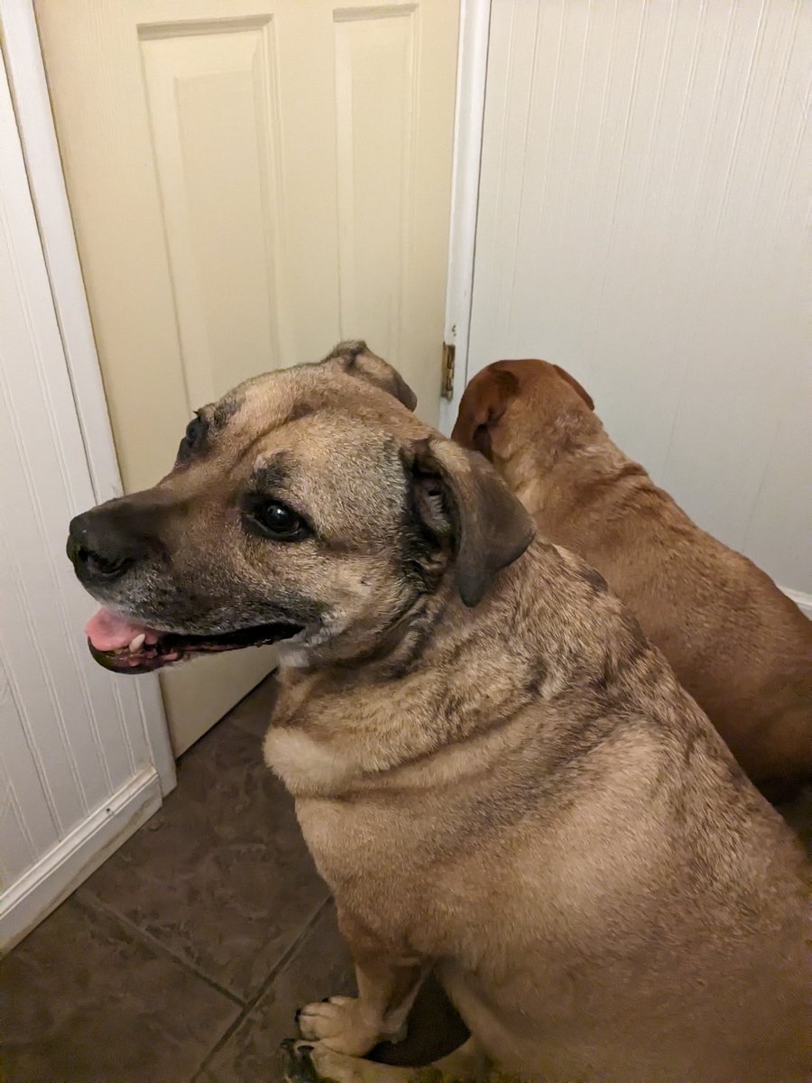 Fun times in the #Chicago suburbs tonight!!! #WeatherAlert #Tornado