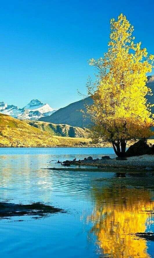 Boa noite 🍃🍃🍃