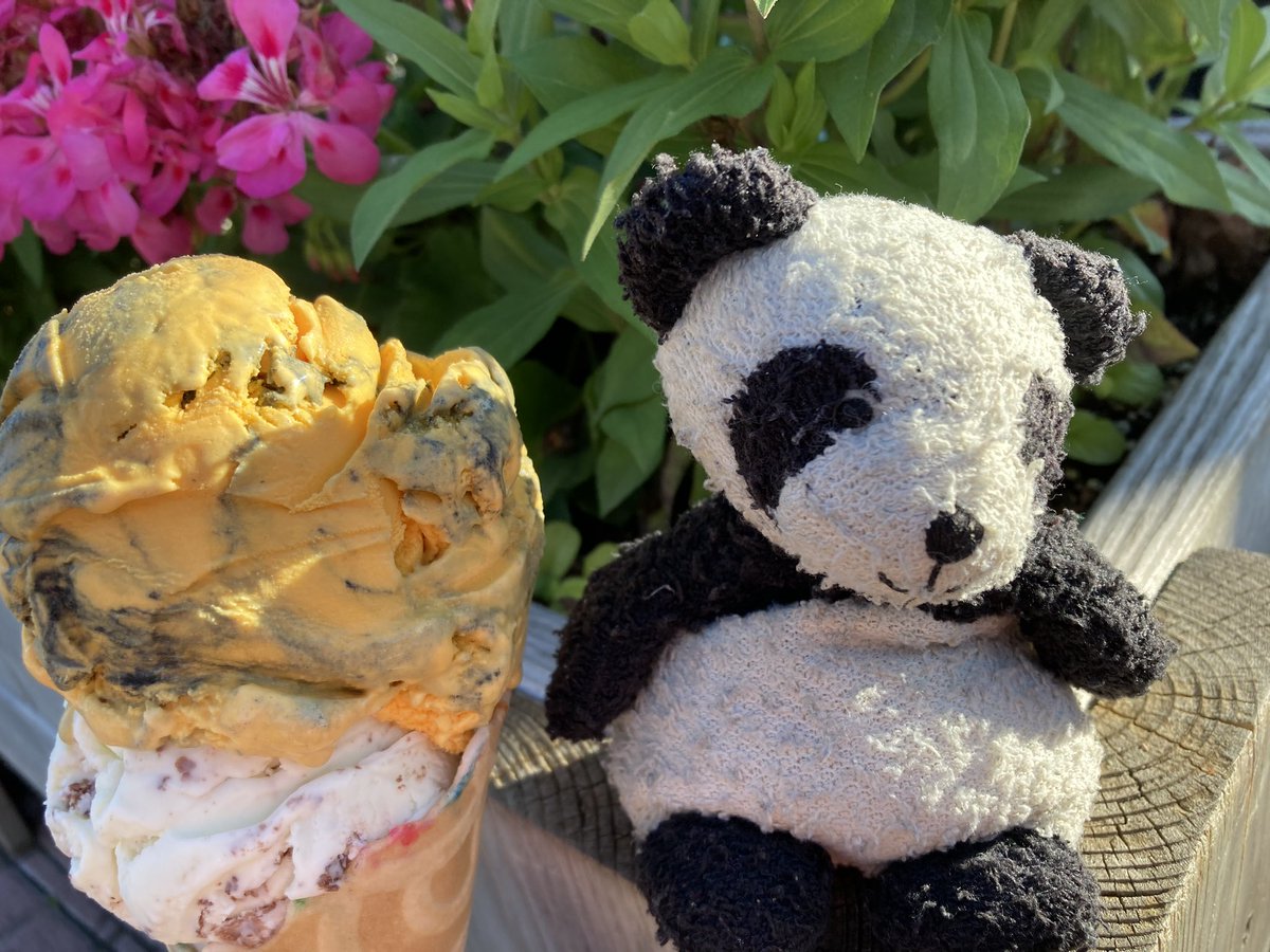 Adventure_Gauss's tweet photo. Tonight’s adventure was #yummy My human and I biked to @TheMerryDairy for ice cream. It was a lovely evening for a bike ride and the ice cream was delicious. #SummerToDoList #BikeRide #BikeAdventure #IceCream #IceCreamCone #MerryDairy #delicious https://t.co/5GA6YQ2Bw0