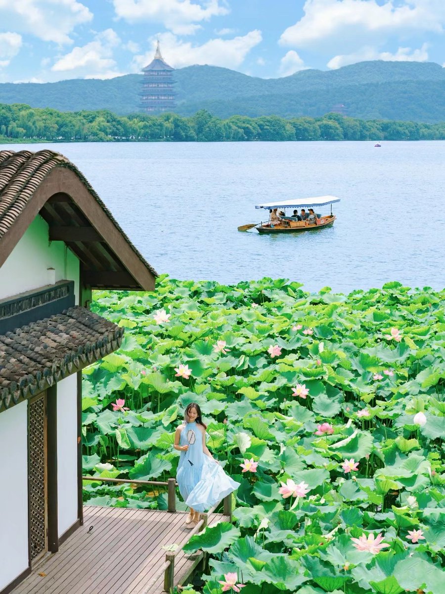 Hangzhou😍
接天莲叶无穷碧，最美人间在杭州😄 https://t.co/Anlsa1nLw7
