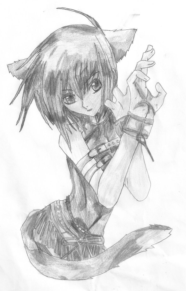 Catboy Bot tweet media