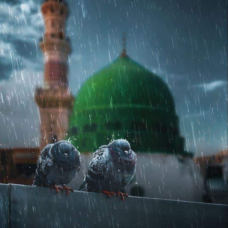 _dayaar_e_ishq_'s tweet photo. وَرَفَعْنَا لَكَ ذِكْرَكَ ○
میرے نبی ﷺ کا ذکر ہمیشہ بُلَند رہے گا۔💚 https://t.co/KTpjyLxuQ9