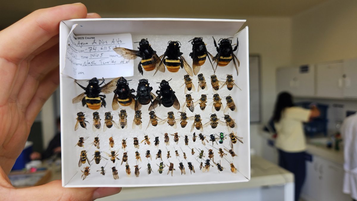 🐝🌻Nash Turley🌻🐝 tweet media