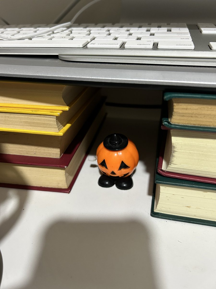 PrinxeDraven's tweet image. I have this weird set up where I put some books to put my monitor, and I decide is a good cave for this little pumpkin 🎃 
#computersetup