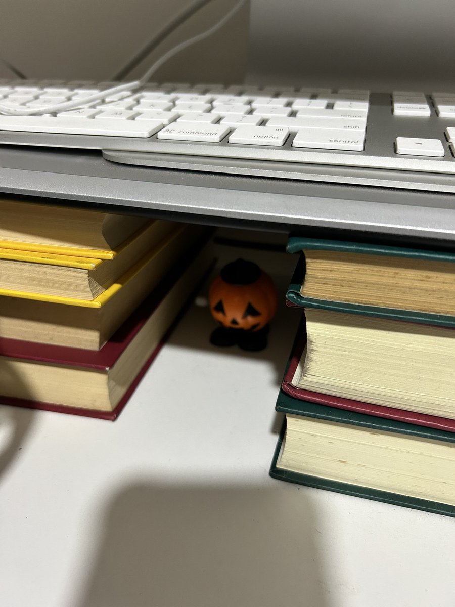PrinxeDraven's tweet image. I have this weird set up where I put some books to put my monitor, and I decide is a good cave for this little pumpkin 🎃 
#computersetup