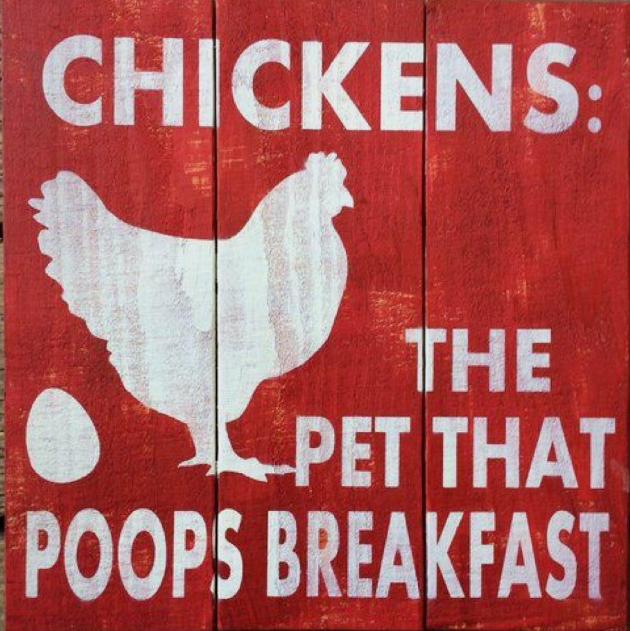 ClassicRoy's tweet image. #yummy #tellitlikeitis #breakfast