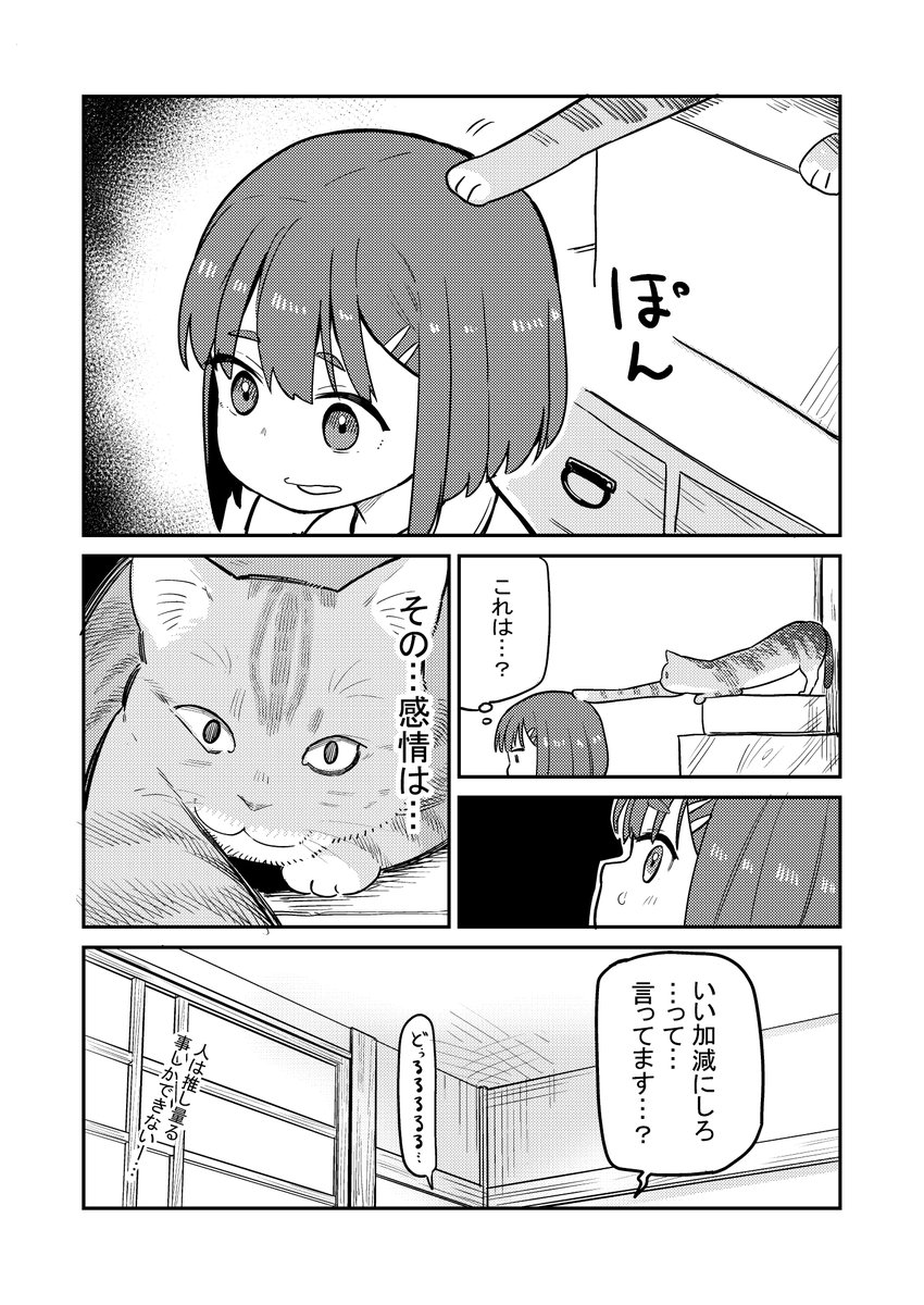 猫の気持ちがわからない(2/2)