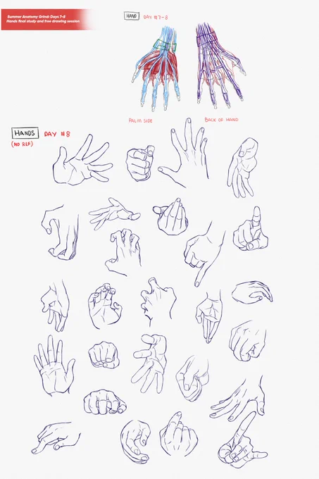 ✧ Final hand study + final no reference hand drawing session.  I feel that from here it's just time and experience that will help me tighten up. For now, I feel good being able to say for the first time, that I actually understand the hand and how to draw it👏