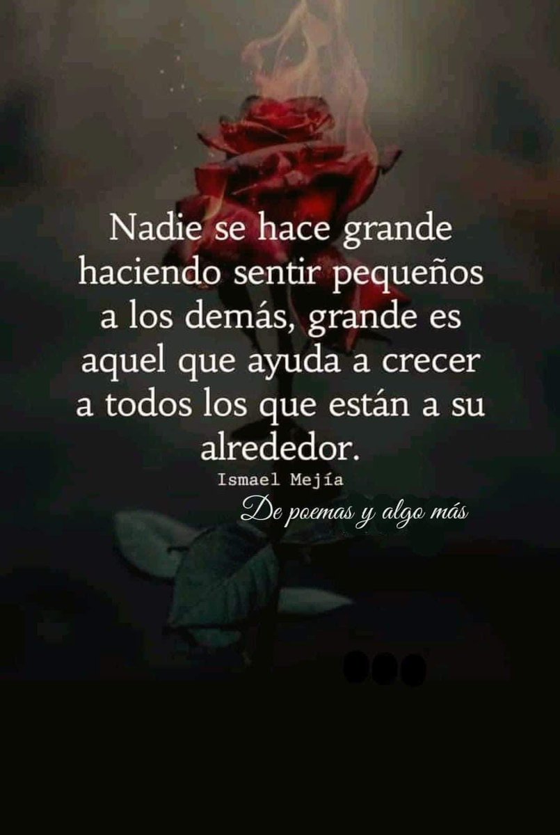 M Saladin Rivera tweet media