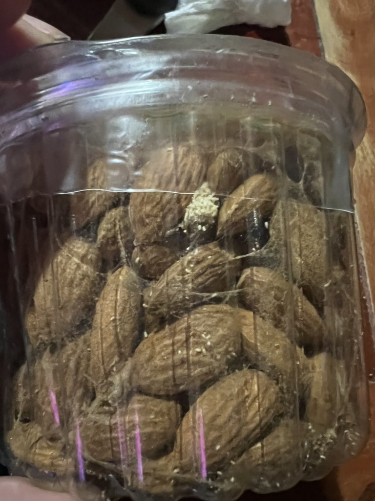 valentinadhp's tweet photo. Hace 2 semanas compré unas almendras en @Unimarc y hoy al sacarlas para comerlas me doy cuenta que estás se encontraban llenas de gusanos! https://t.co/k2UKi70Hzw