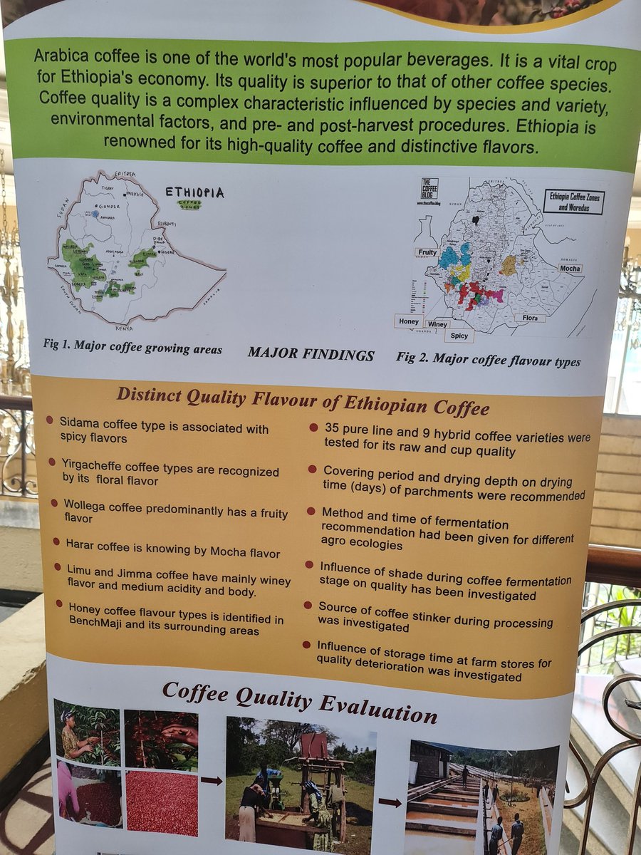 Lealem T. Amenu (@lalytila) on Twitter photo WOW! One of the 6 flavors of Ethiopian coffee...Yirgacheffe known for its floral flavor being served in the Baker's duck in Toowoomba, Australia. Go and enjoy!!!! <a href="/alison_m_kelly/">Alison Kelly</a> <a href="/EmmaOmics/">Emma Mace</a> <a href="/SorgGuy/">David Jordan</a> <a href="/CForknall/">Clayton Forknall</a> <a href="/Horse_Whispers/">Horse Whispers</a> <a href="/SolomonHassen/">Solomon Hassen</a> WOW! One of the 6 flavors of Ethiopian coffee...Yirgacheffe known for its floral flavor being served in the Baker's duck in Toowoomba, Australia. Go and enjoy!!!! <a href="/alison_m_kelly/">Alison Kelly</a> <a href="/EmmaOmics/">Emma Mace</a> <a href="/SorgGuy/">David Jordan</a> <a href="/CForknall/">Clayton Forknall</a> <a href="/Horse_Whispers/">Horse Whispers</a> <a href="/SolomonHassen/">Solomon Hassen</a>