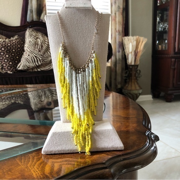 Evelyn LeBaron tweet media