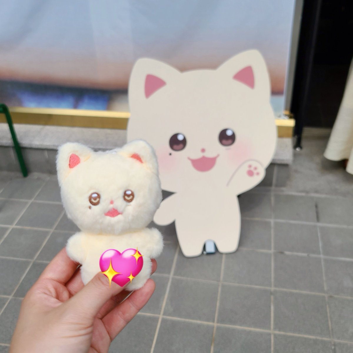 gold_patt's tweet image. #WELCOME_TO_KITTYLAND
쏭쏭이의 등장 이후로 솔직히 성냥이한테 소홀했던거 인정. 햇빛도 못보고 놀러갈 때 따라나가지도 못하고 방 어딘가에서 굴러다니던 성냥쓰 근데 입구부터 맞아 내 첫 인형은 성냥이었지... 하고 기강 쎄게 잡힌 카페. 내가 명동 앤나 을지로까지 찾아온덴 다 이유가 있었구나