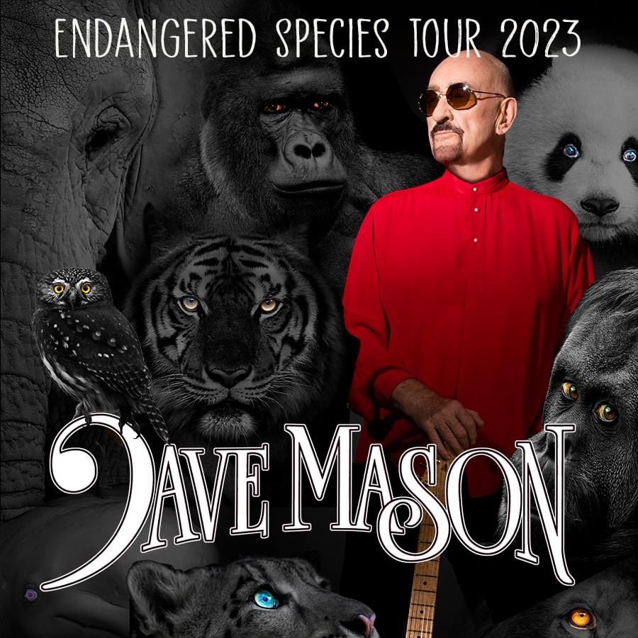 Our 'Species' might be Endangered, but we're still ROCKIN' and the next segment of tour starts this Friday! Rock n' roll is an attitude, not an age. Let's go PA, NY, WI, AR & CO! 🤘🦍🎸 Info & tickets: davemasonmusic.com/tour-info