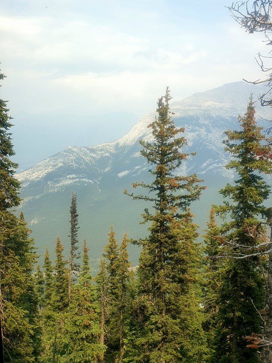 ShellStyan's tweet image. 25 year service at Timpson. As part of my gift I asked for Canadian Dollars. Visited Sky Bistro at Sulphur Mountain today. Thanks James, John and Co. Unforgettable experience.  @JamesTCobbler @SweeneyMags