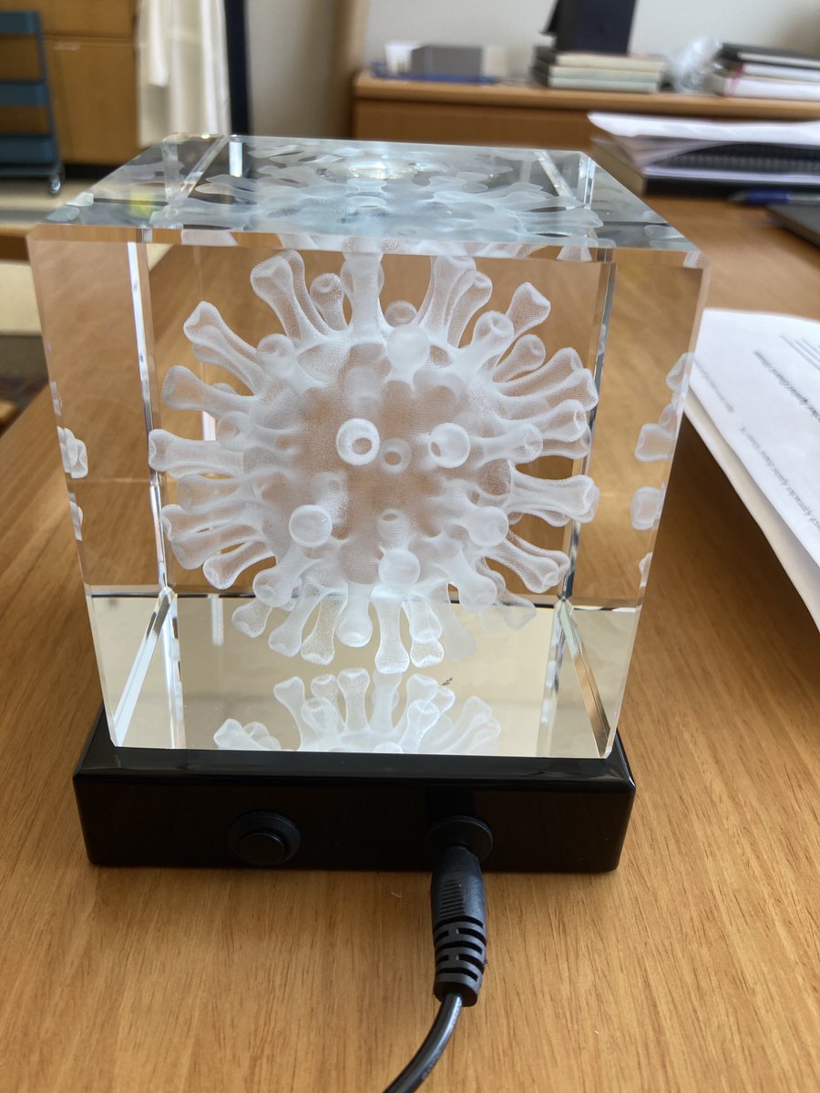 Siyuan Ding tweet media