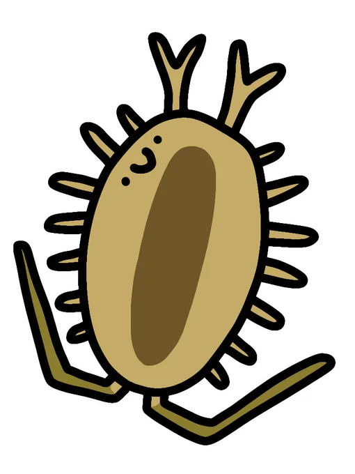 キタフナムシ
