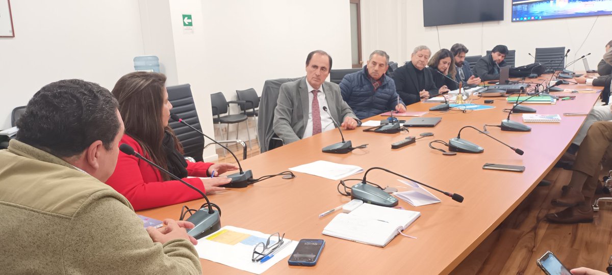 edu_punillac's tweet photo. ✅️Esta tarde tuvimos la oportunidad de presentar a nuestro Servicio ante la comisión de educación 📚del @corenuble. Agradecemos la instancia y por sobretodo el compromiso reflejado con la Nueva Educación Pública en el territorio 🙌
#QueNoslleneDeOrgullo 🌟 https://t.co/ZLZWwEandX