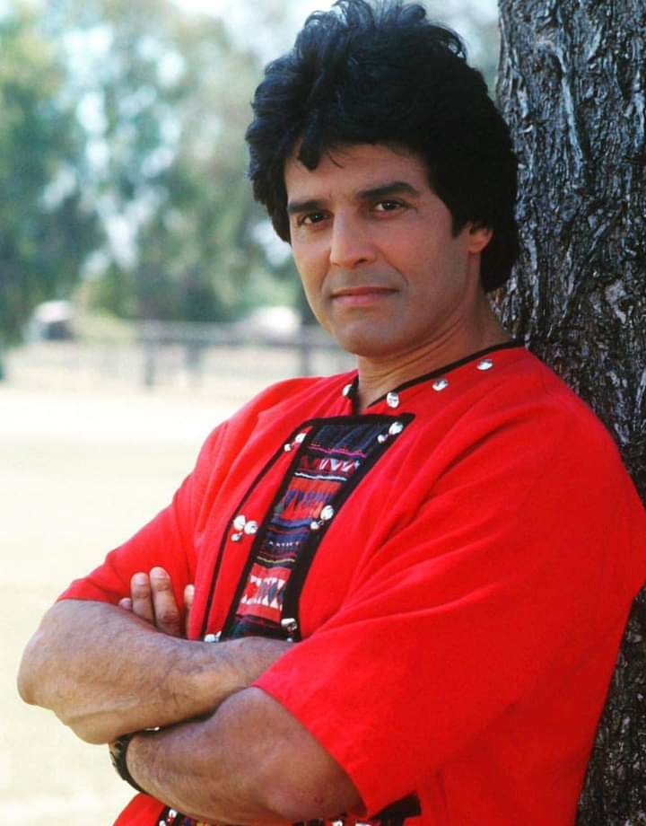meu favorito Erik Estrada.